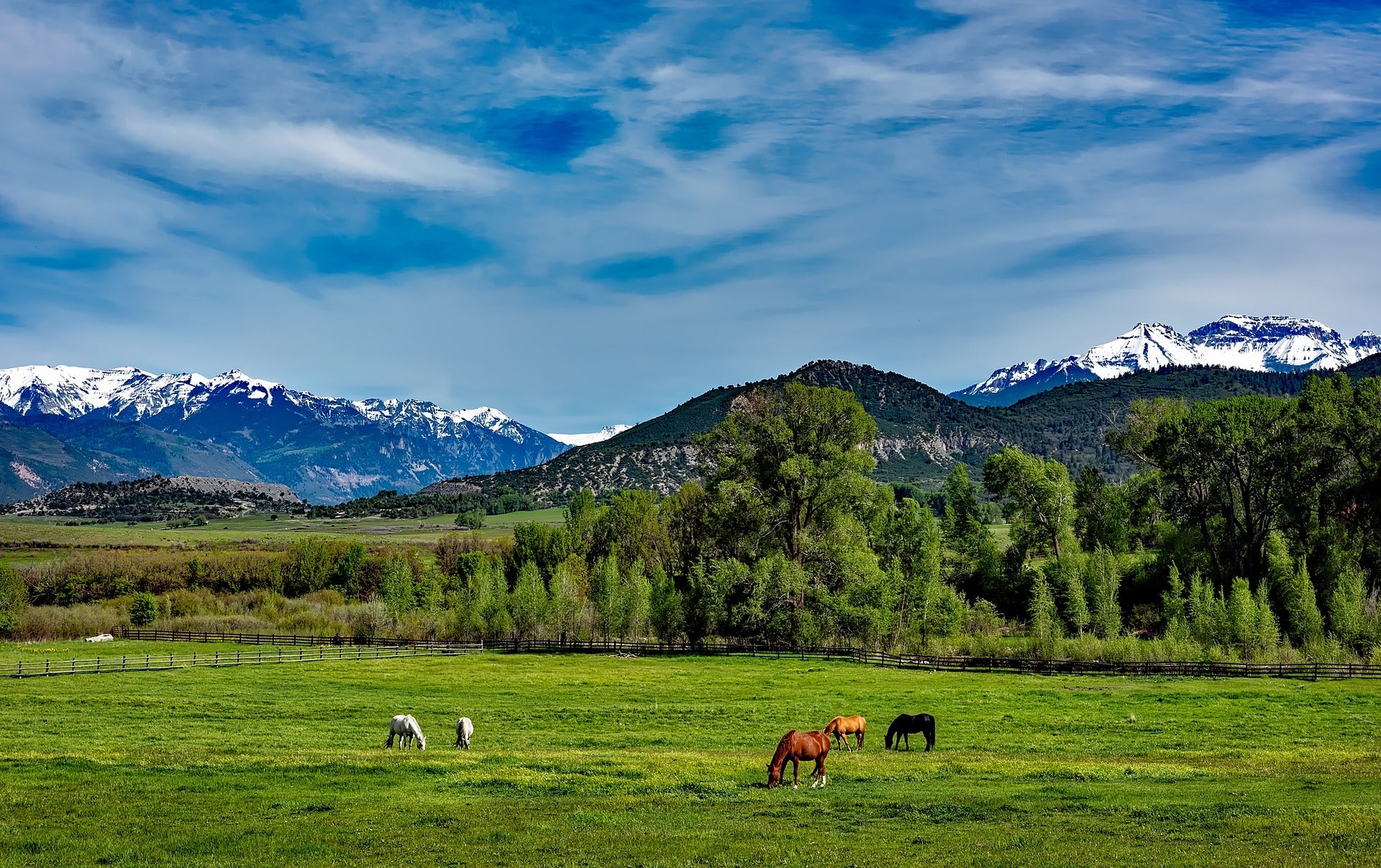 Colorado – Rachel R.