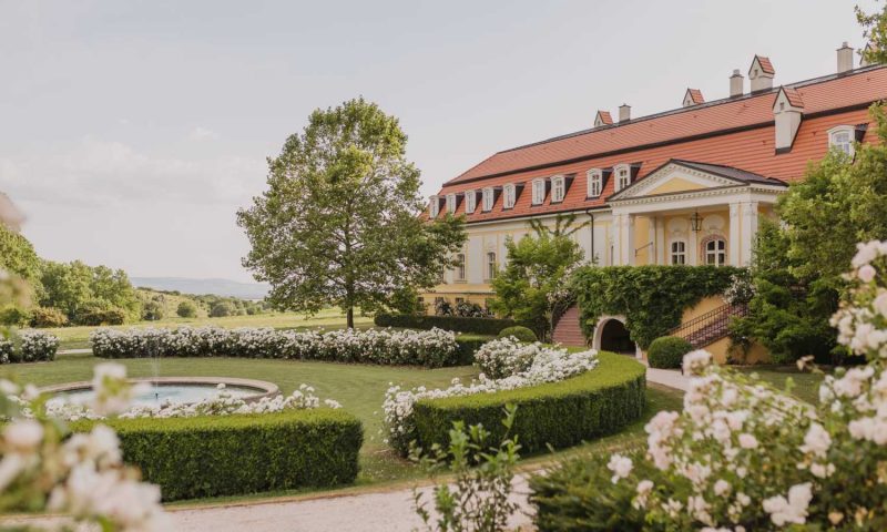 Day 7: Vineyard Experience + Slovak Cooking Class
