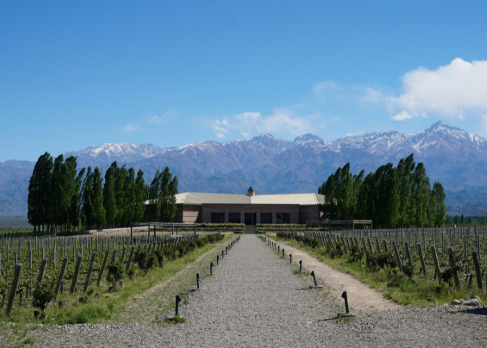 Day 5: Mendoza