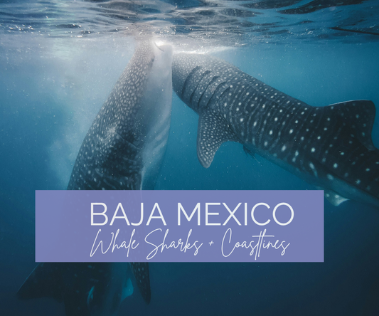 Baja Mexico