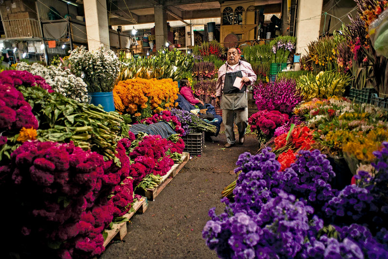 Day 3: Markets + Mezcal + Mexico City After Dark