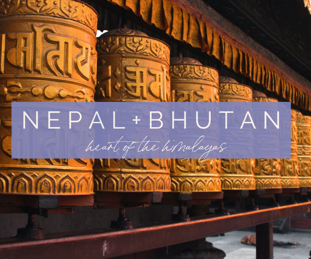 Nepal and Bhutan Damesly journey