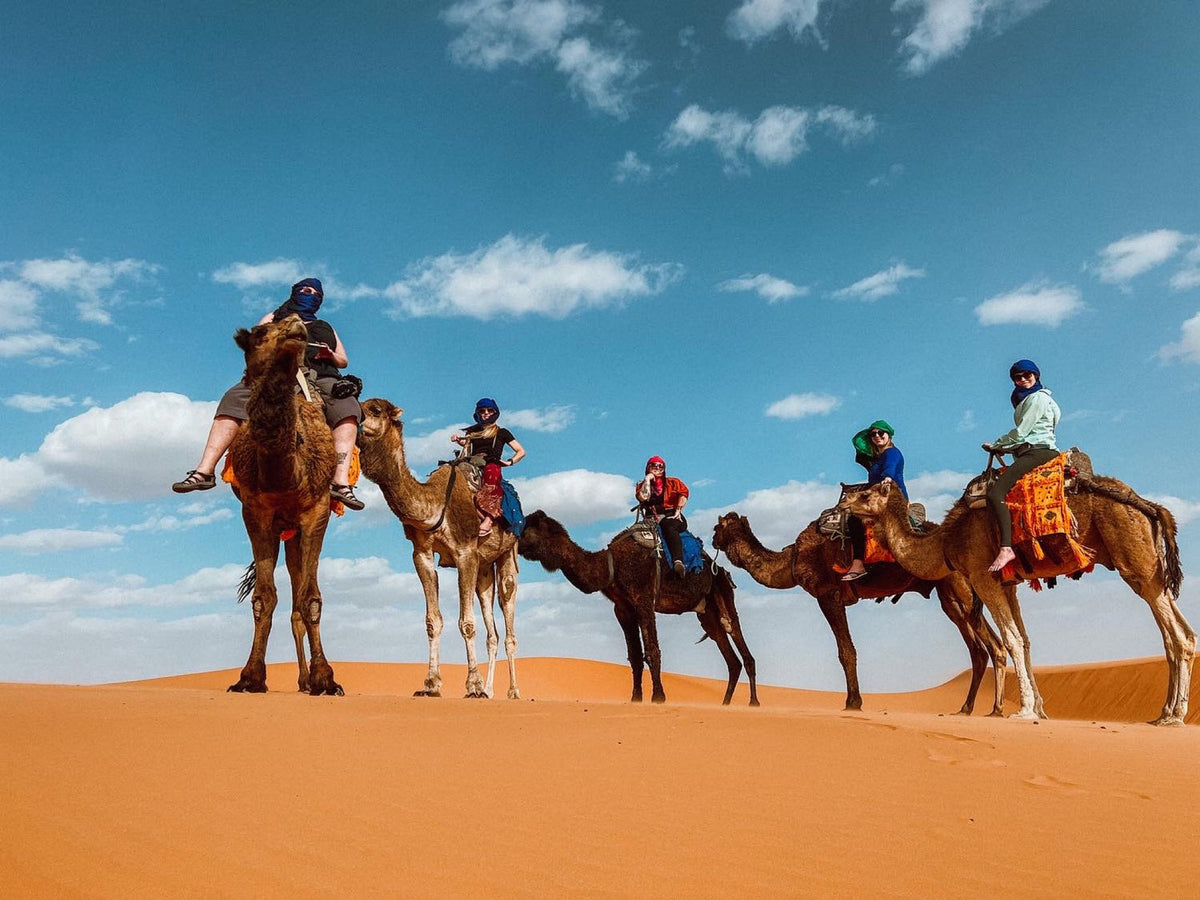A Damesly small-group travel experience
