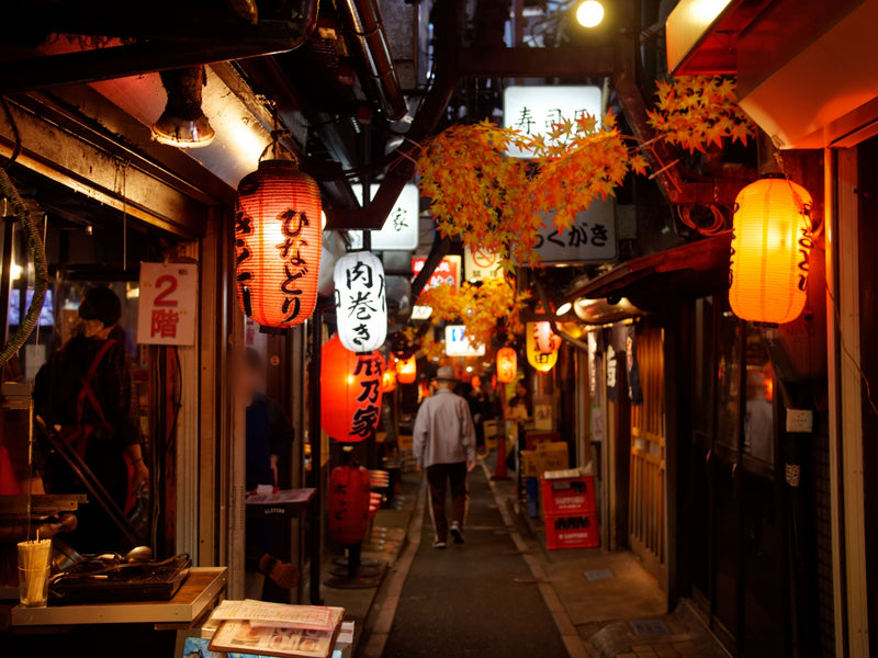 Day 3: Temples + Shinjuku Izakaya Food Crawl