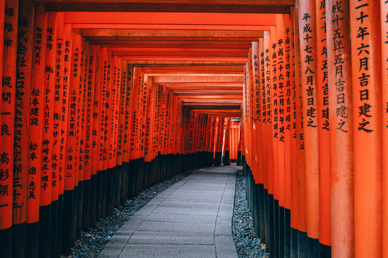 Day 7: Fushimi Inari + Nishiki Market