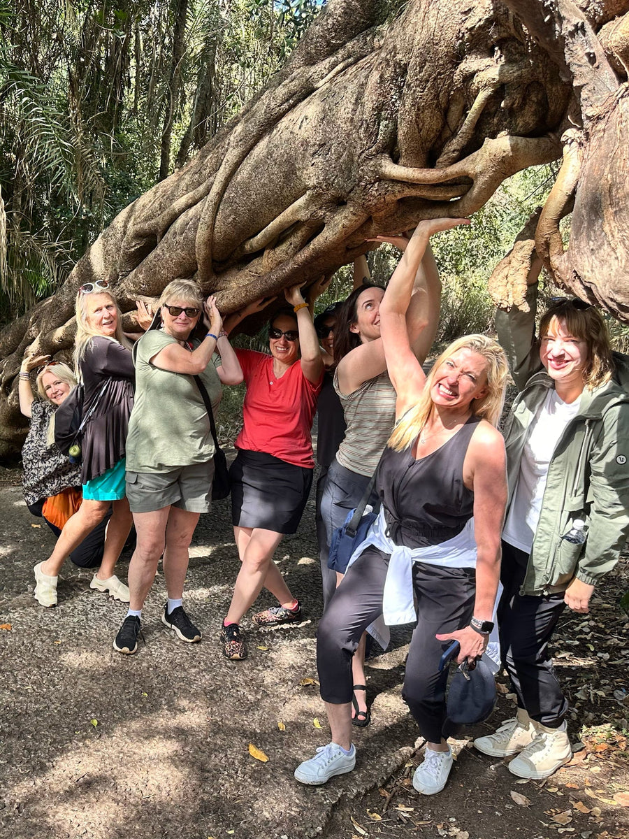 Damesly travelers in South Africa